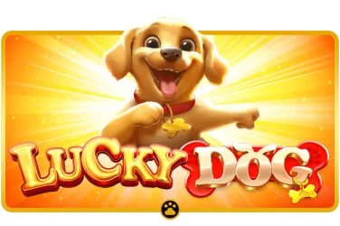 bullsbet jogos